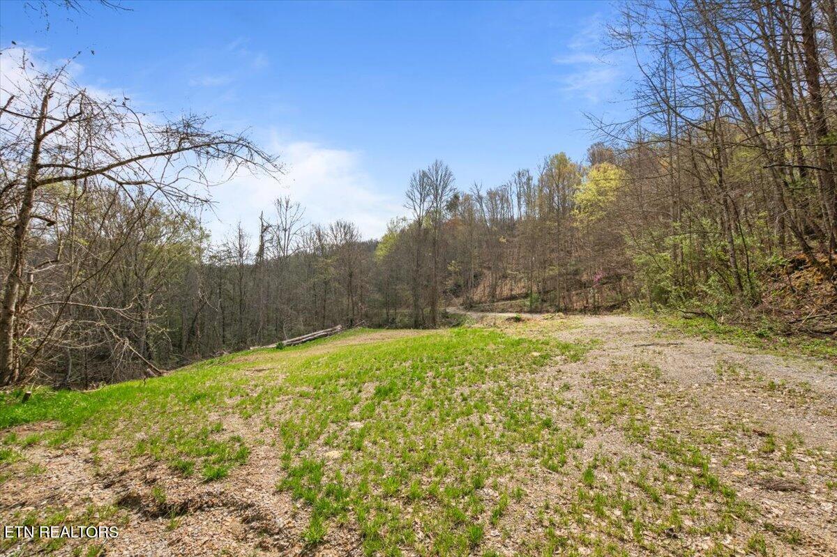 Arial Lane, LaFollette