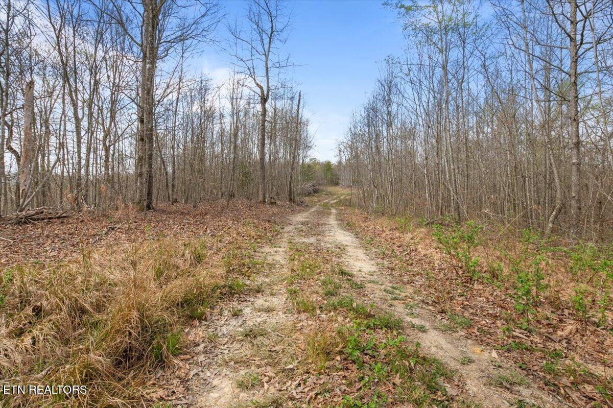 Arial Lane, LaFollette