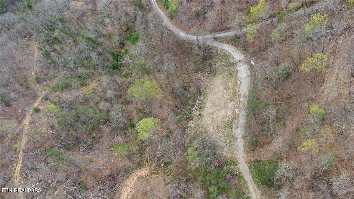 Arial Lane, LaFollette