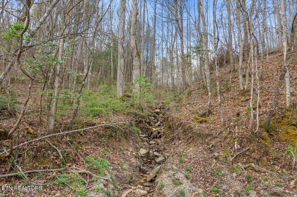 Arial Lane, LaFollette