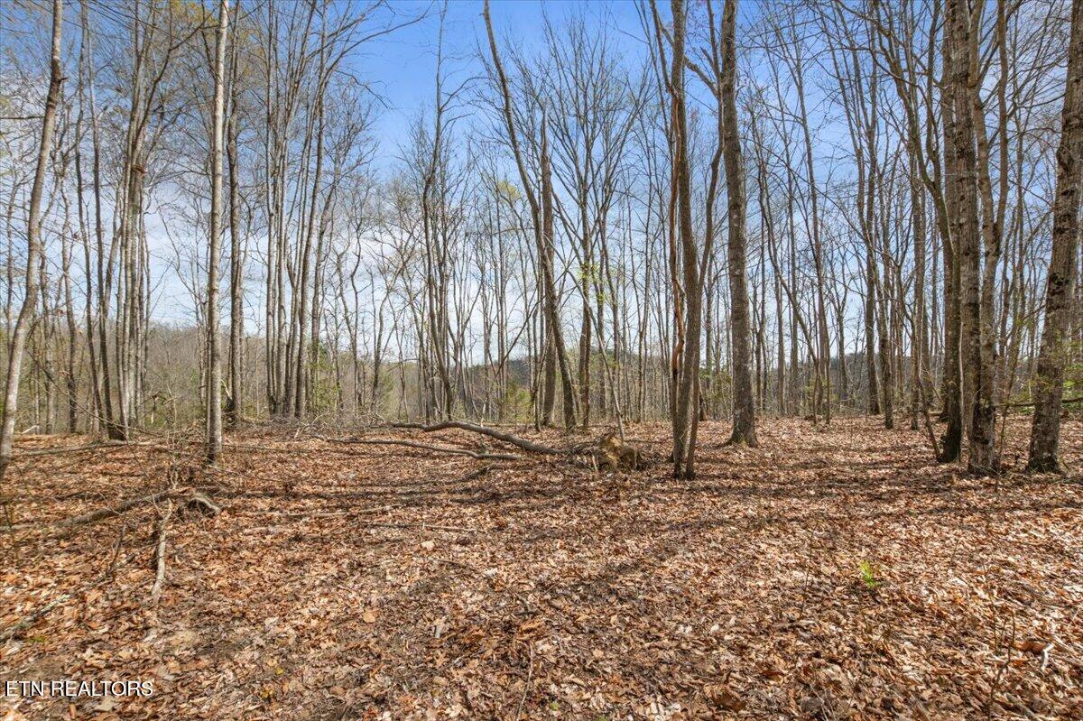 Arial Lane, LaFollette