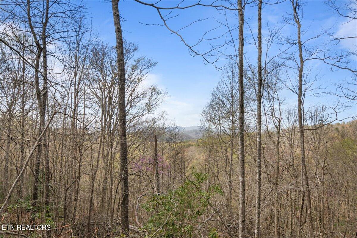 Arial Lane, LaFollette