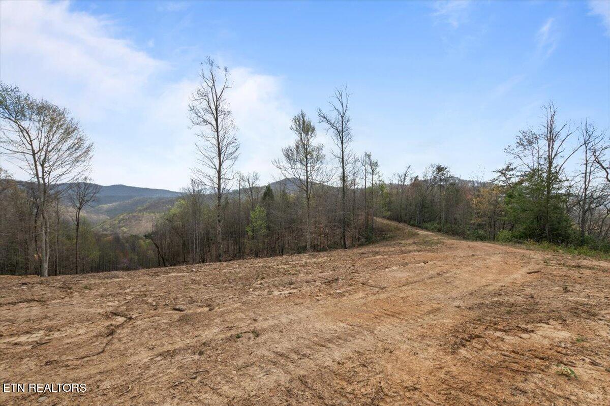 Arial Lane, LaFollette