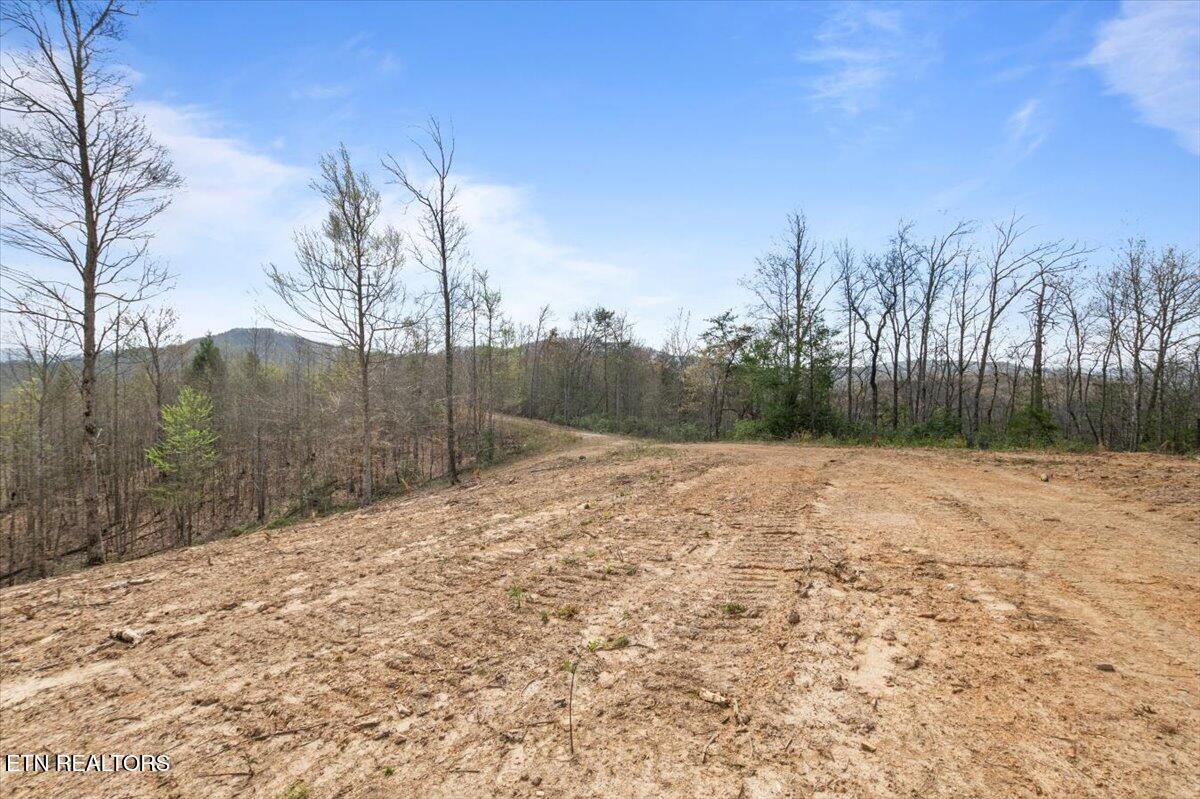 Arial Lane, LaFollette