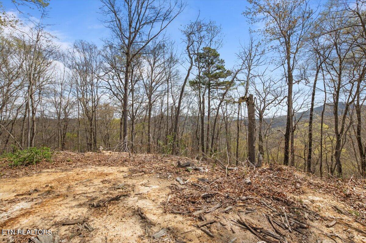 Arial Lane, LaFollette