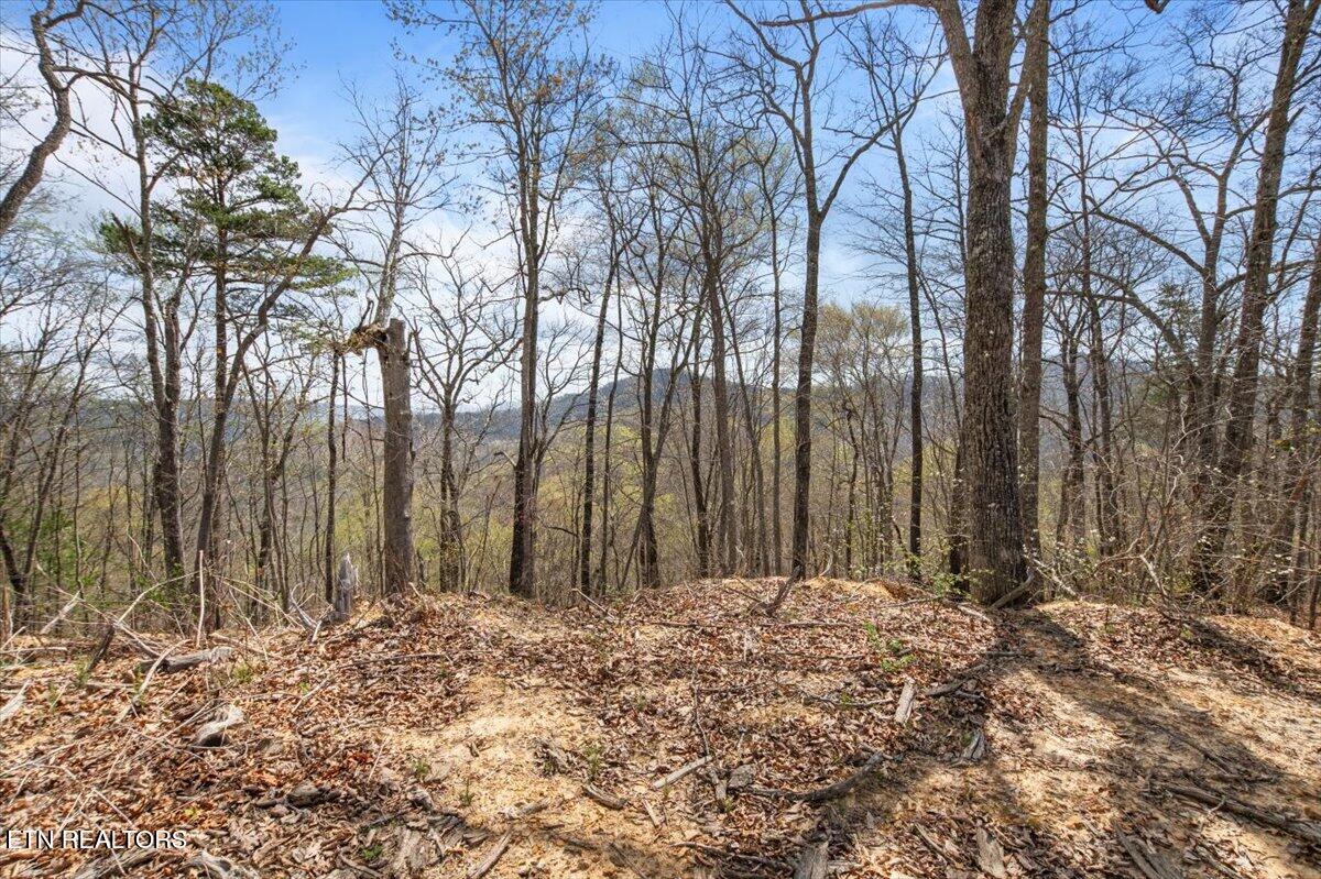 Arial Lane, LaFollette