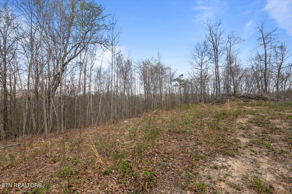 Arial Lane, LaFollette