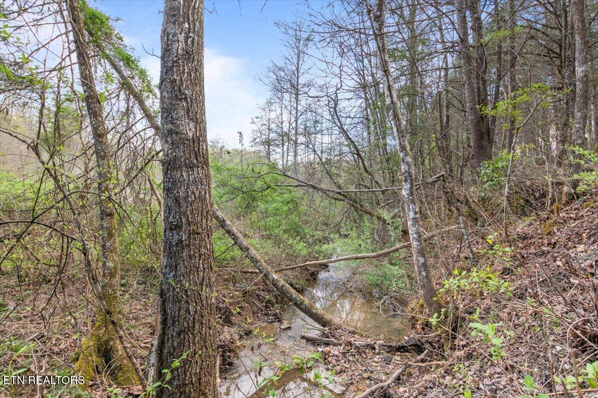 Arial Lane, LaFollette