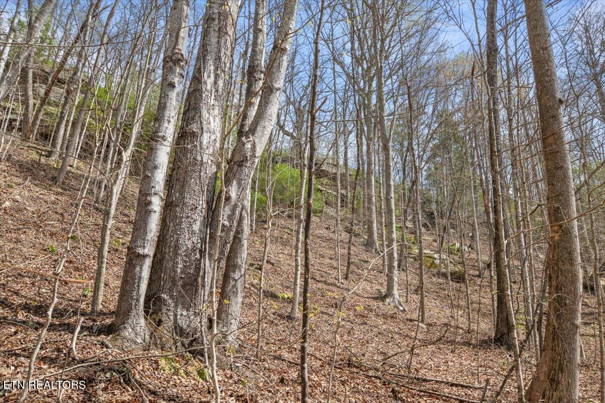 Arial Lane, LaFollette