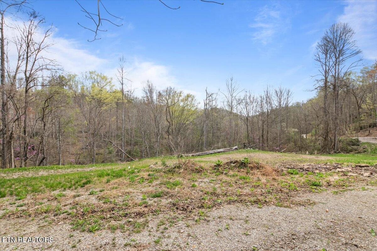 Arial Lane, LaFollette