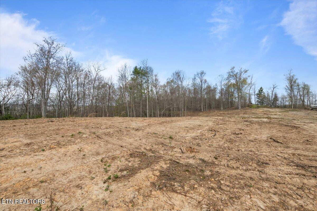 Arial Lane, LaFollette