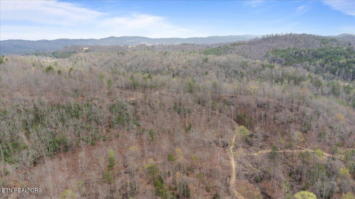 Arial Lane, LaFollette