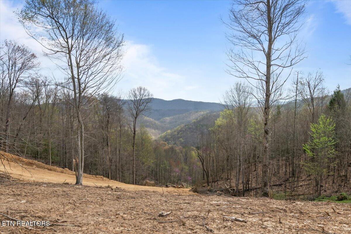 Arial Lane, LaFollette