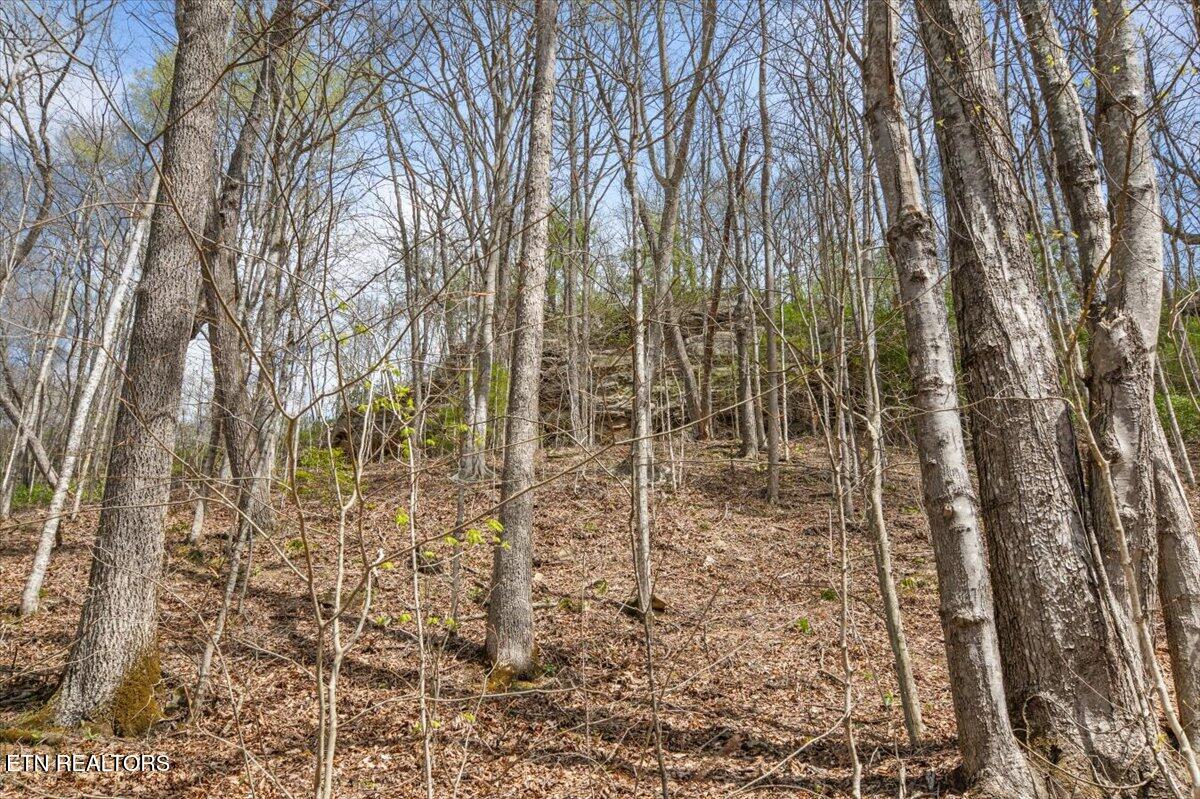 Arial Lane, LaFollette