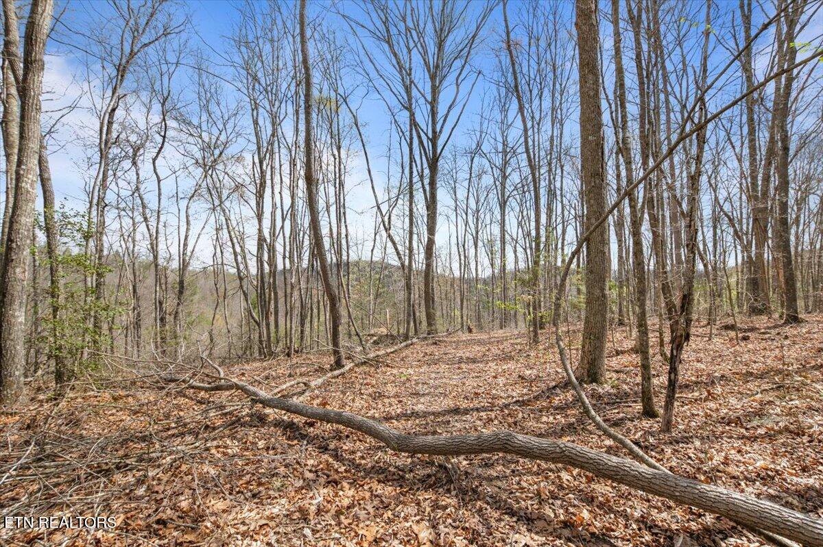 Arial Lane, LaFollette