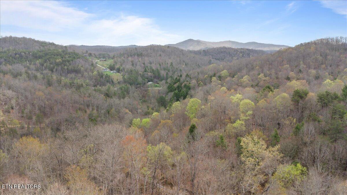 Arial Lane, LaFollette