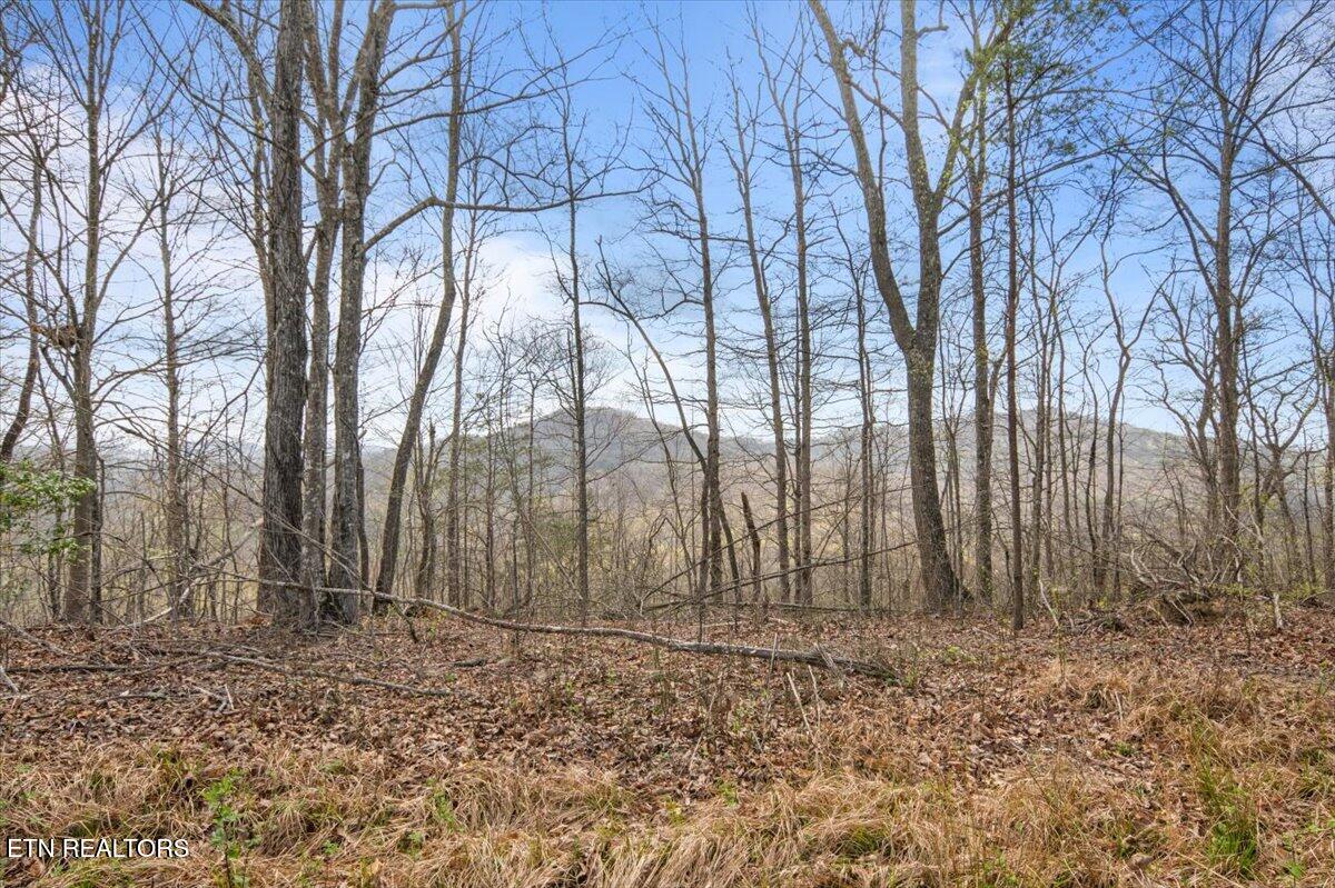 Arial Lane, LaFollette