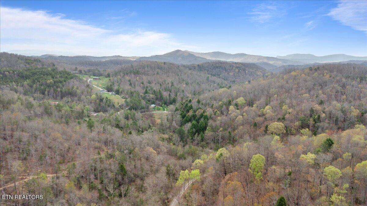 Arial Lane, LaFollette