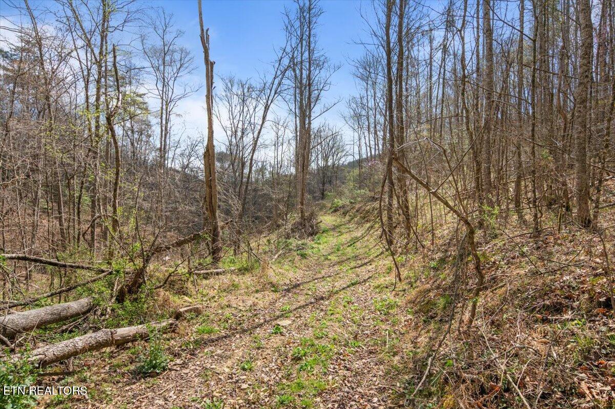 Arial Lane, LaFollette