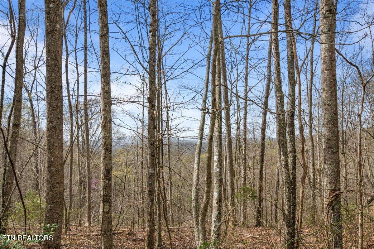 Arial Lane, LaFollette