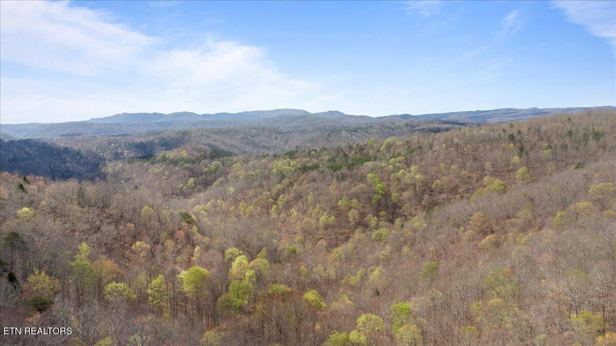 Arial Lane, LaFollette