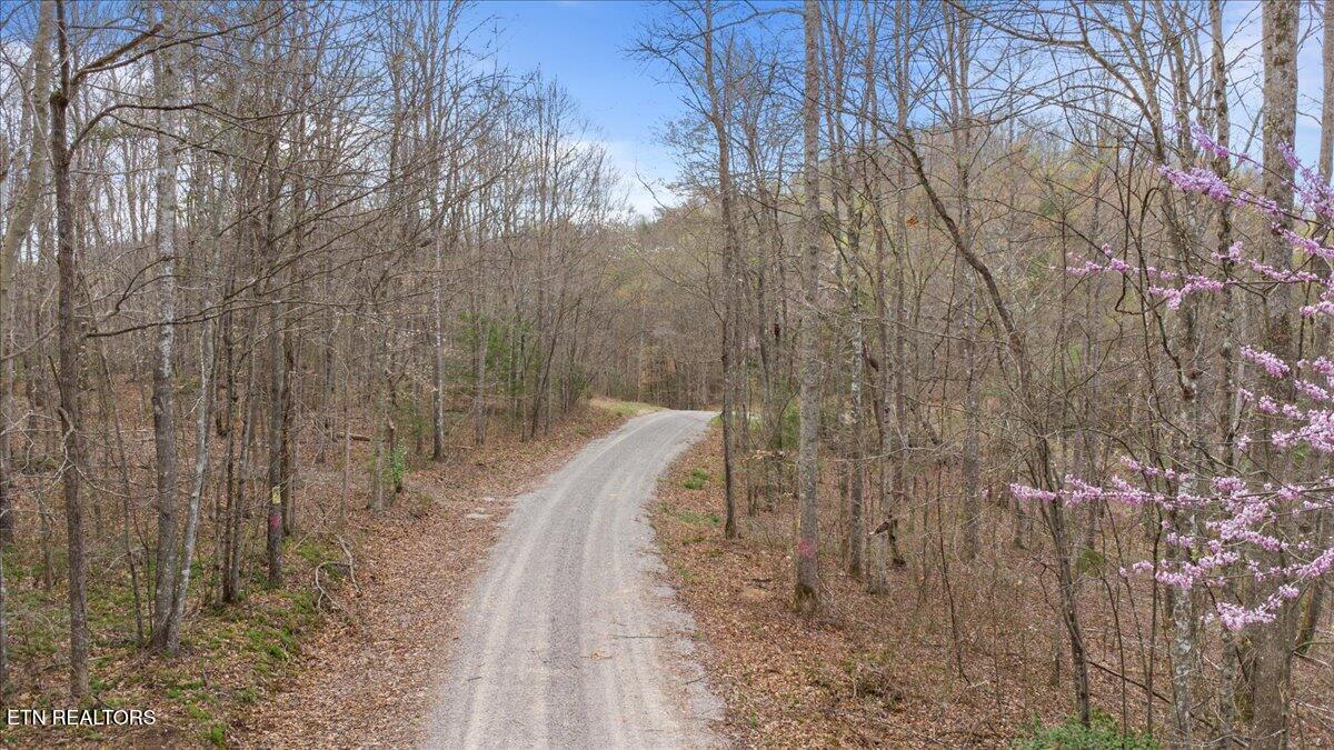 Arial Lane, LaFollette