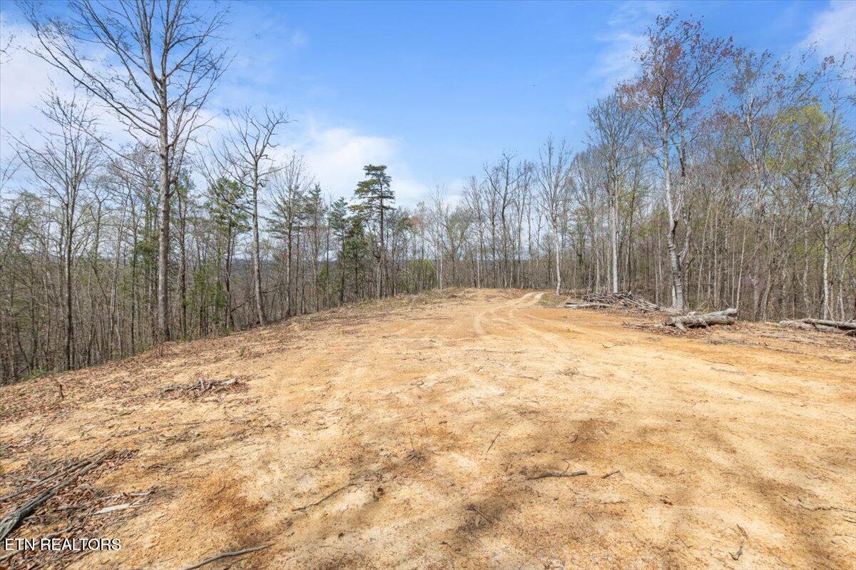 Arial Lane, LaFollette