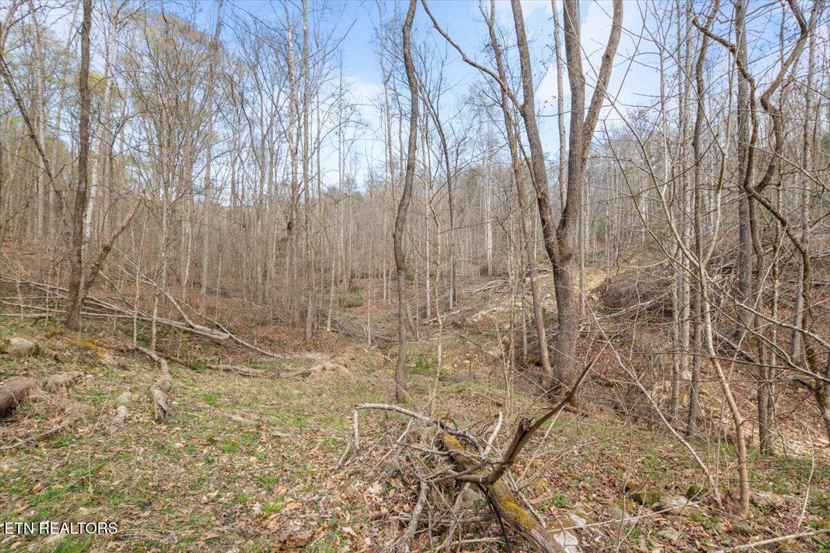 Arial Lane, LaFollette