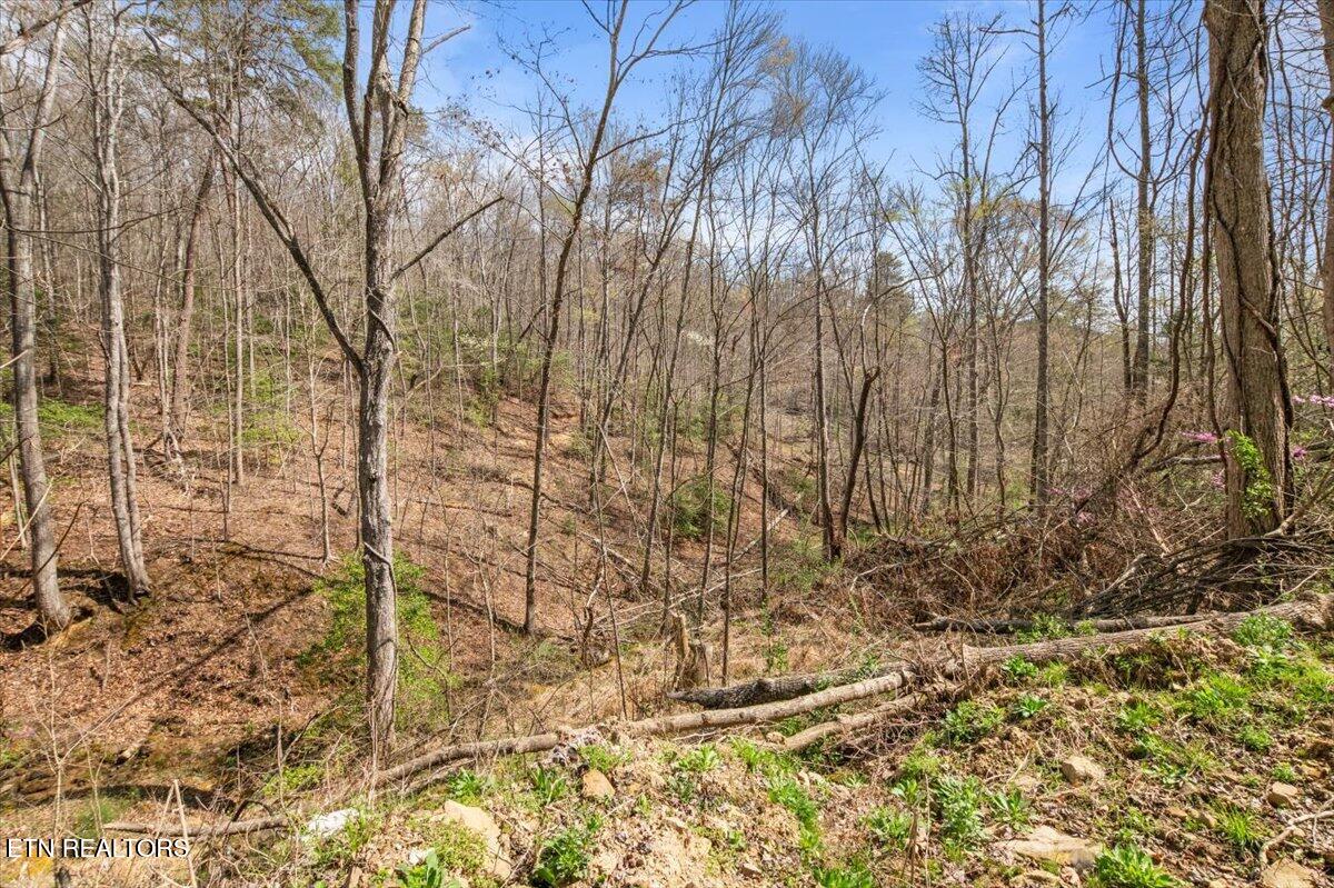 Arial Lane, LaFollette