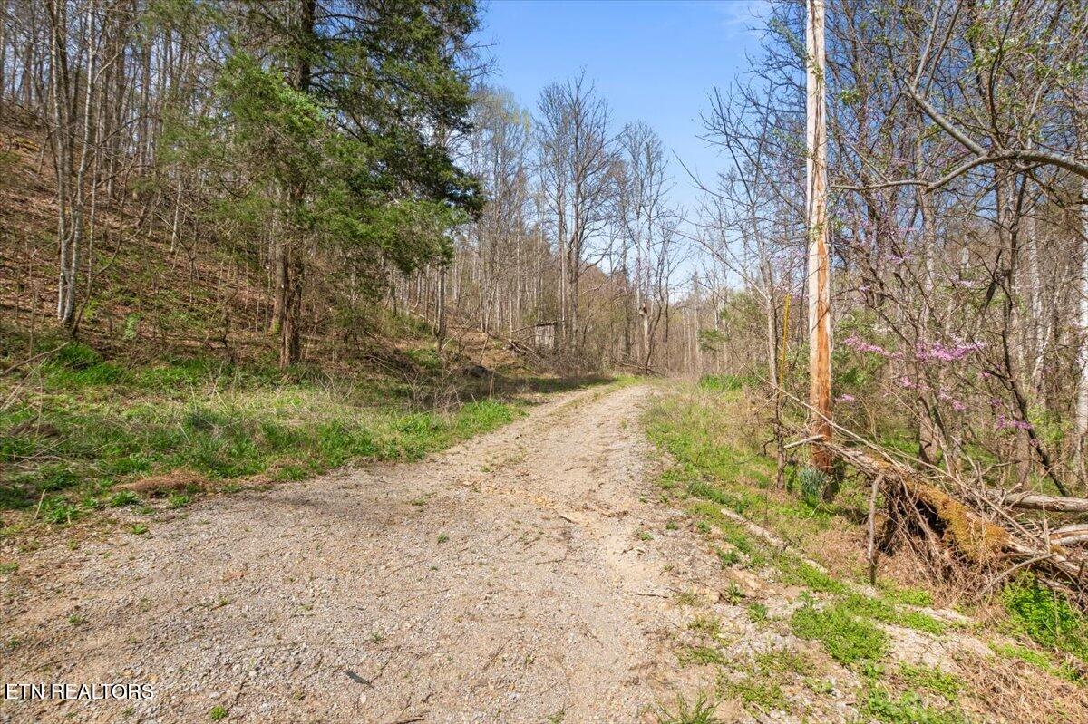 Arial Lane, LaFollette