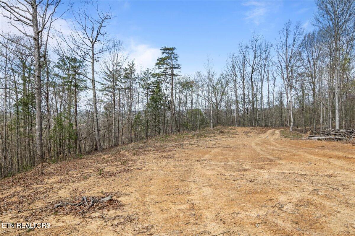 Arial Lane, LaFollette