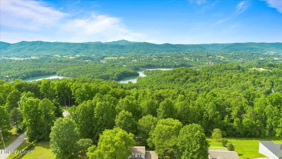 197 Buena Vista Lane, LaFollette