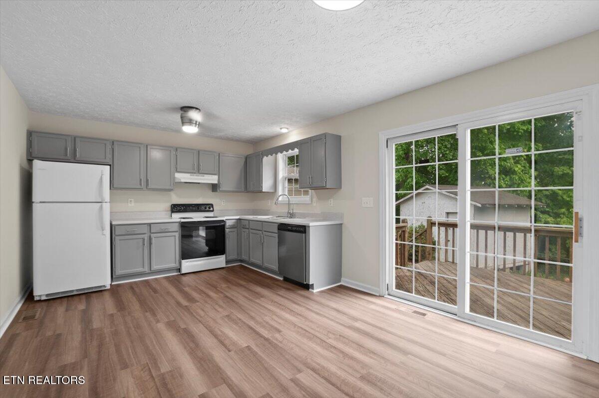 197 Buena Vista Lane, LaFollette