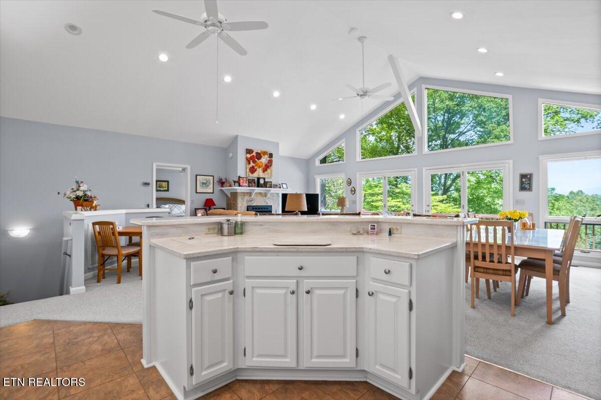 334 Little Buck Lane, LaFollette