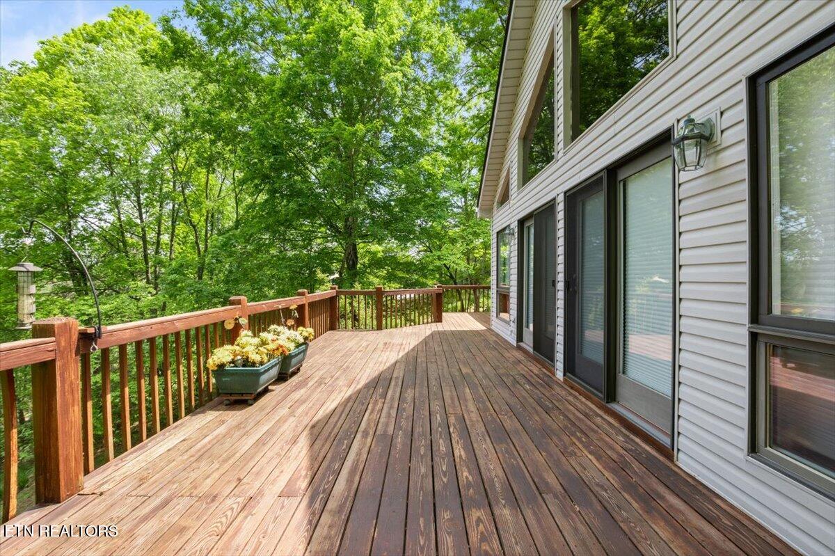 334 Little Buck Lane, LaFollette