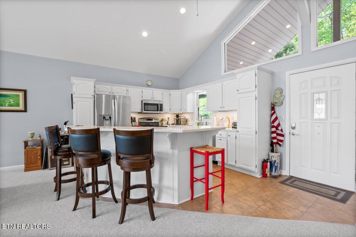 334 Little Buck Lane, LaFollette