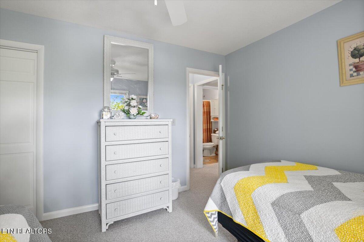 334 Little Buck Lane, LaFollette