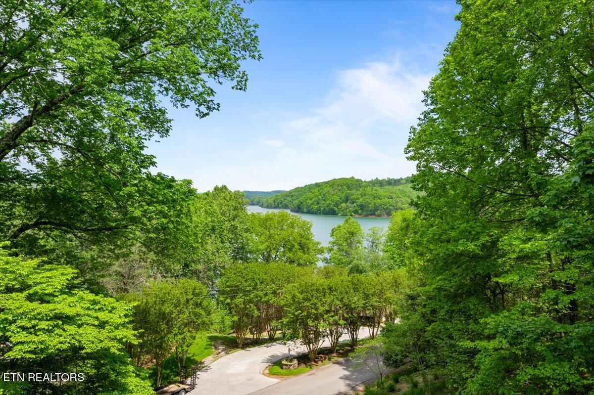 334 Little Buck Lane, LaFollette