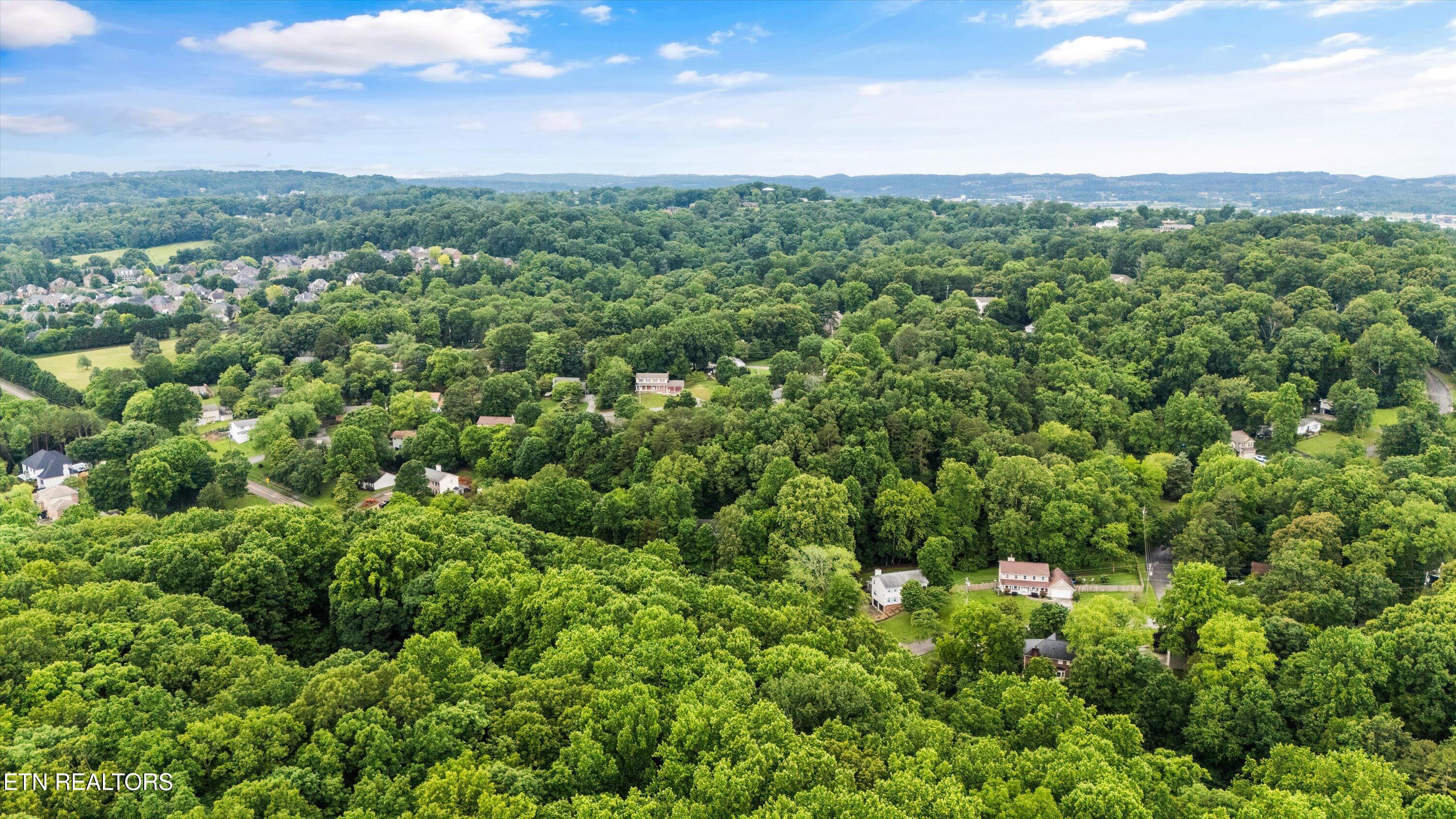 9417 George Williams Rd