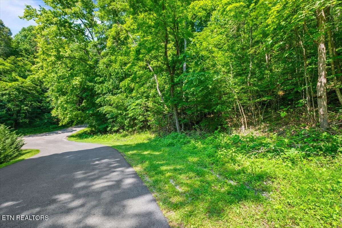 Hiwassee Drive, LaFollette