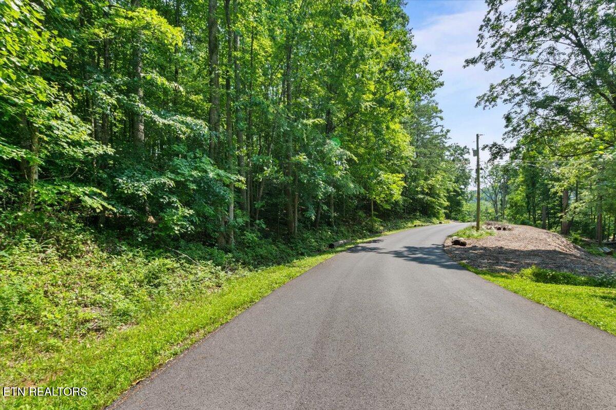 Hiwassee Drive, LaFollette