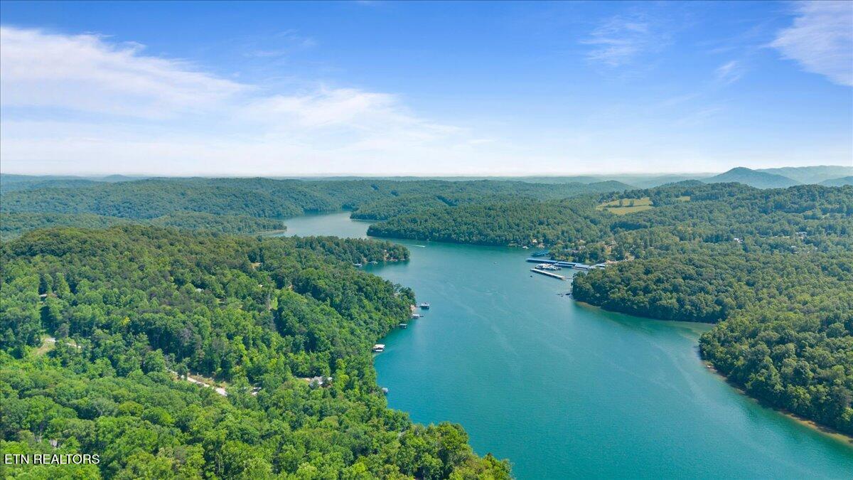 Hiwassee Drive, LaFollette