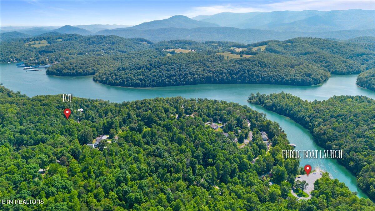 Hiwassee Drive, LaFollette