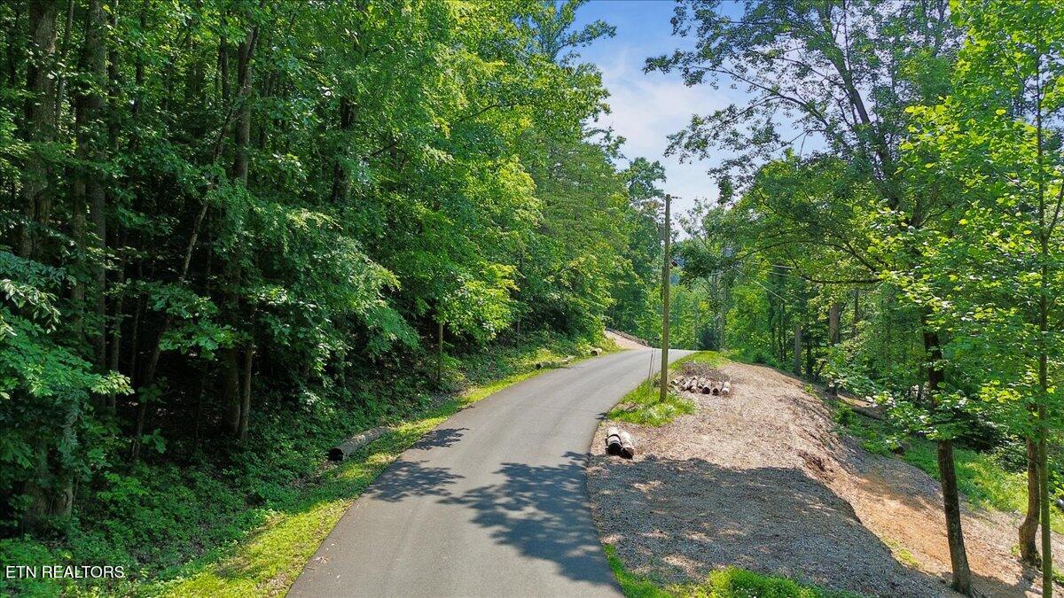 Hiwassee Drive, LaFollette