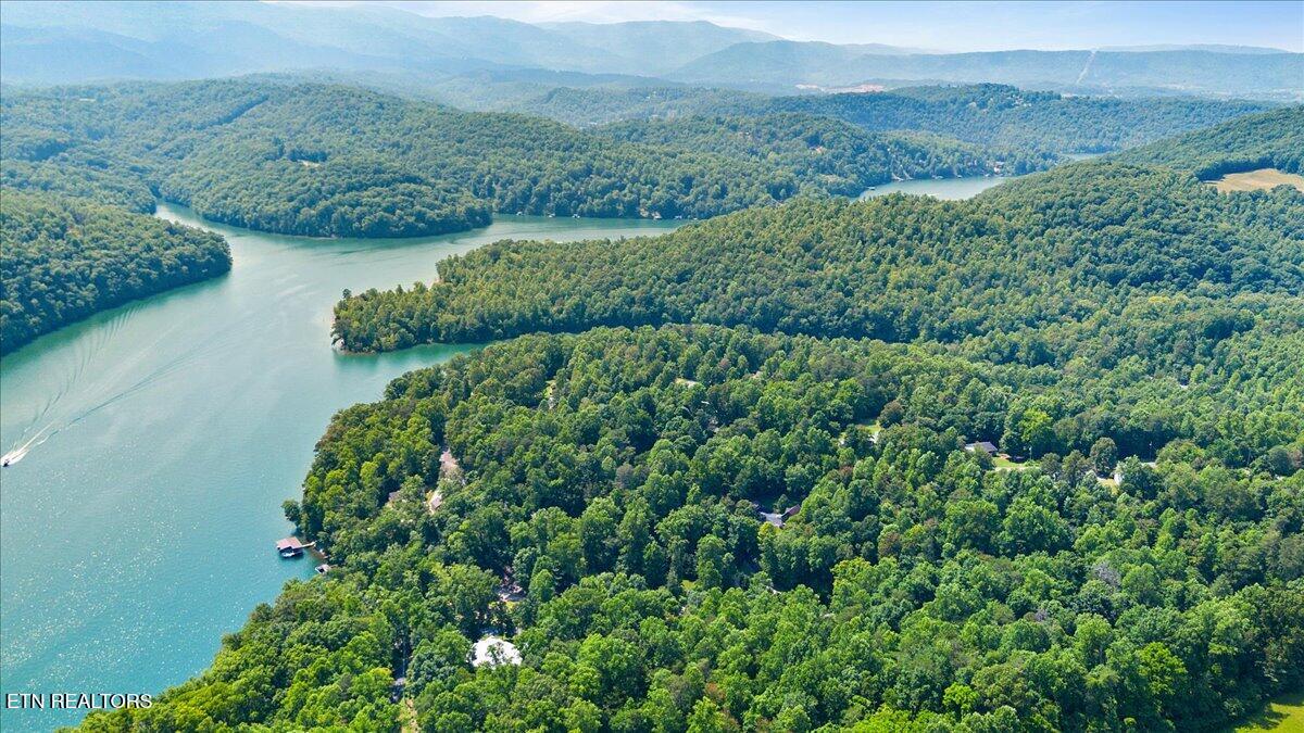 Hiwassee Drive, LaFollette