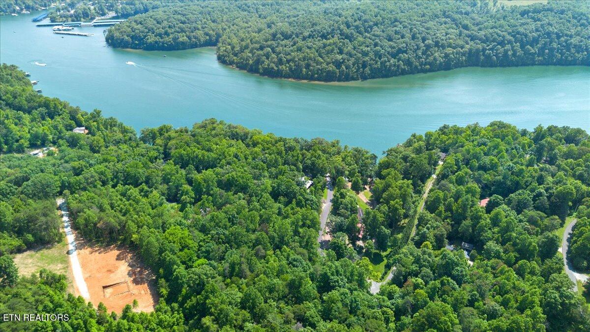 Hiwassee Drive, LaFollette