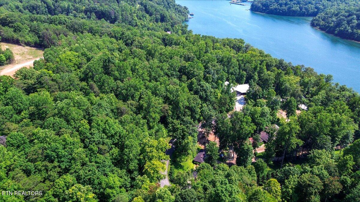 Hiwassee Drive, LaFollette