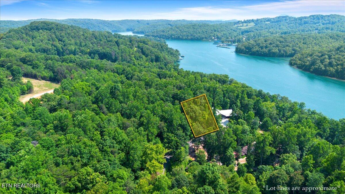 Hiwassee Drive, LaFollette