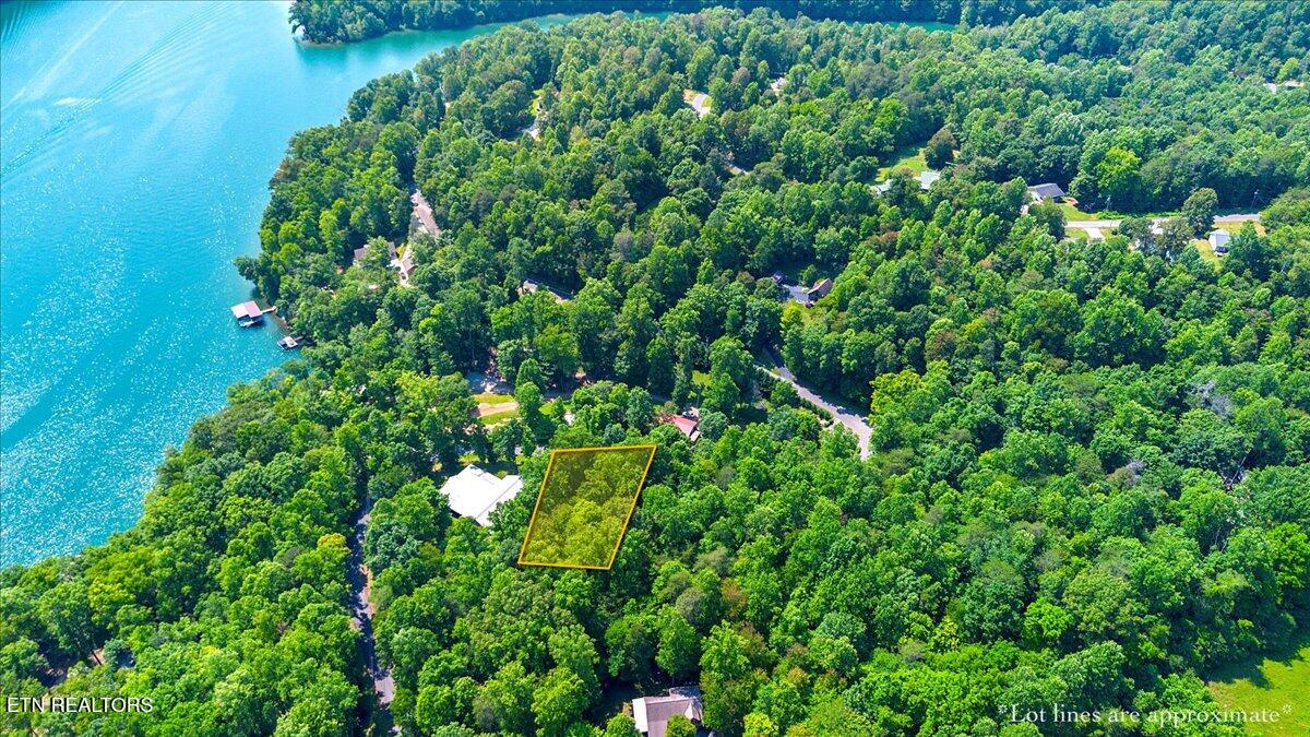 Hiwassee Drive, LaFollette