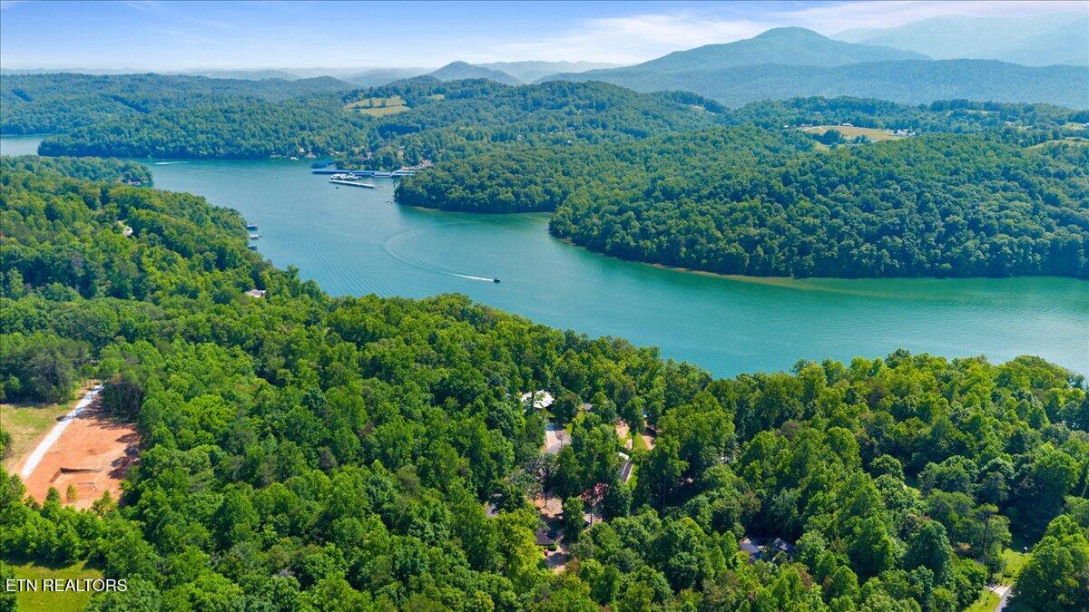 Hiwassee Drive, LaFollette